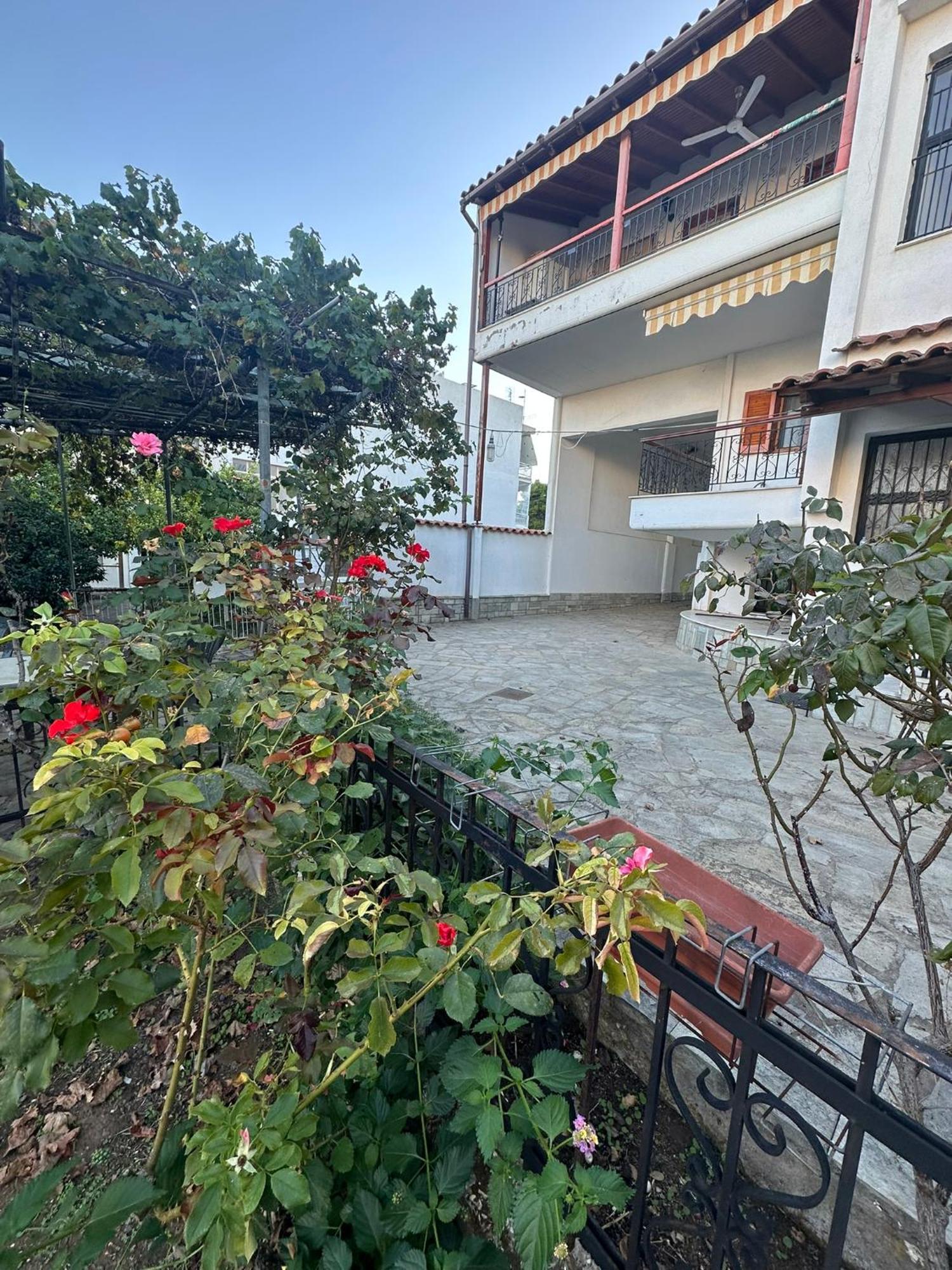 Tsatsalmas Rooms With Sea View 美塔摩尔弗斯 外观 照片